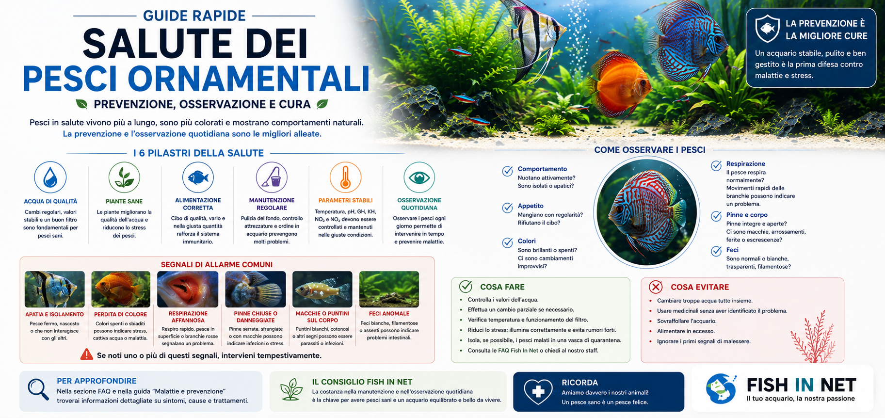 Guida rapida Fish In Net - salute e benessere dei pesci ornamentali