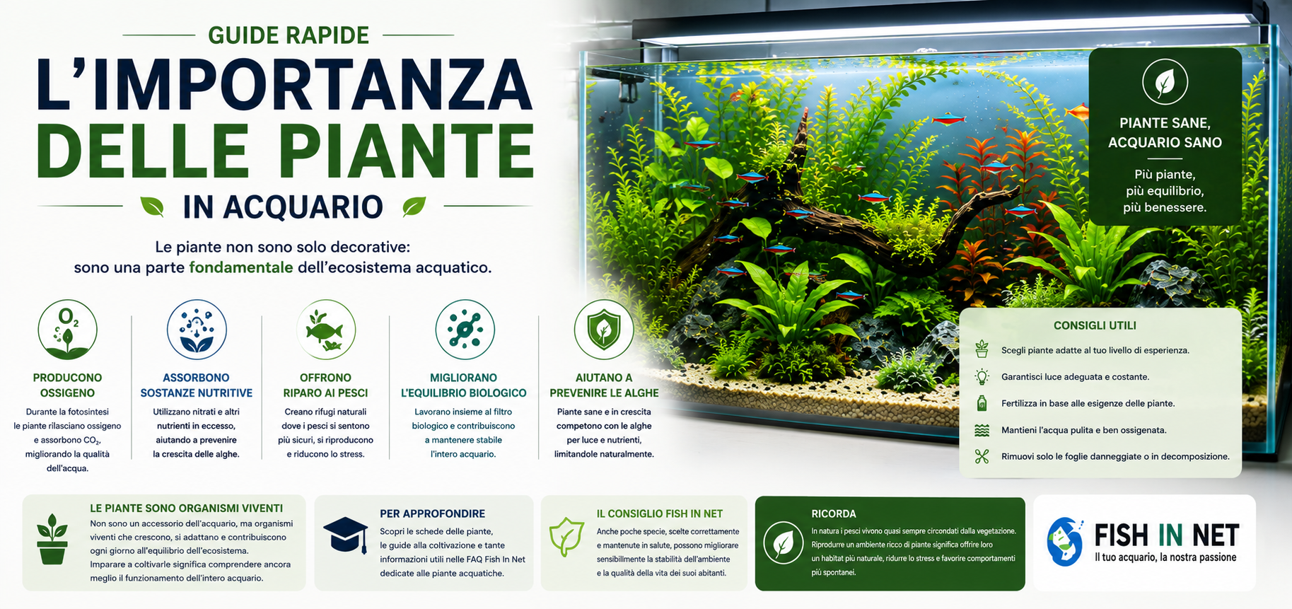 Guida rapida Fish In Net - piante acquatiche per acquario