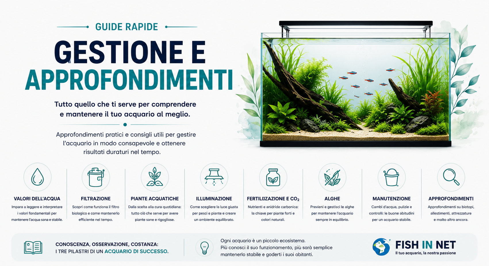 Guida rapida Fish In Net - guida completa per il tuo acquario
