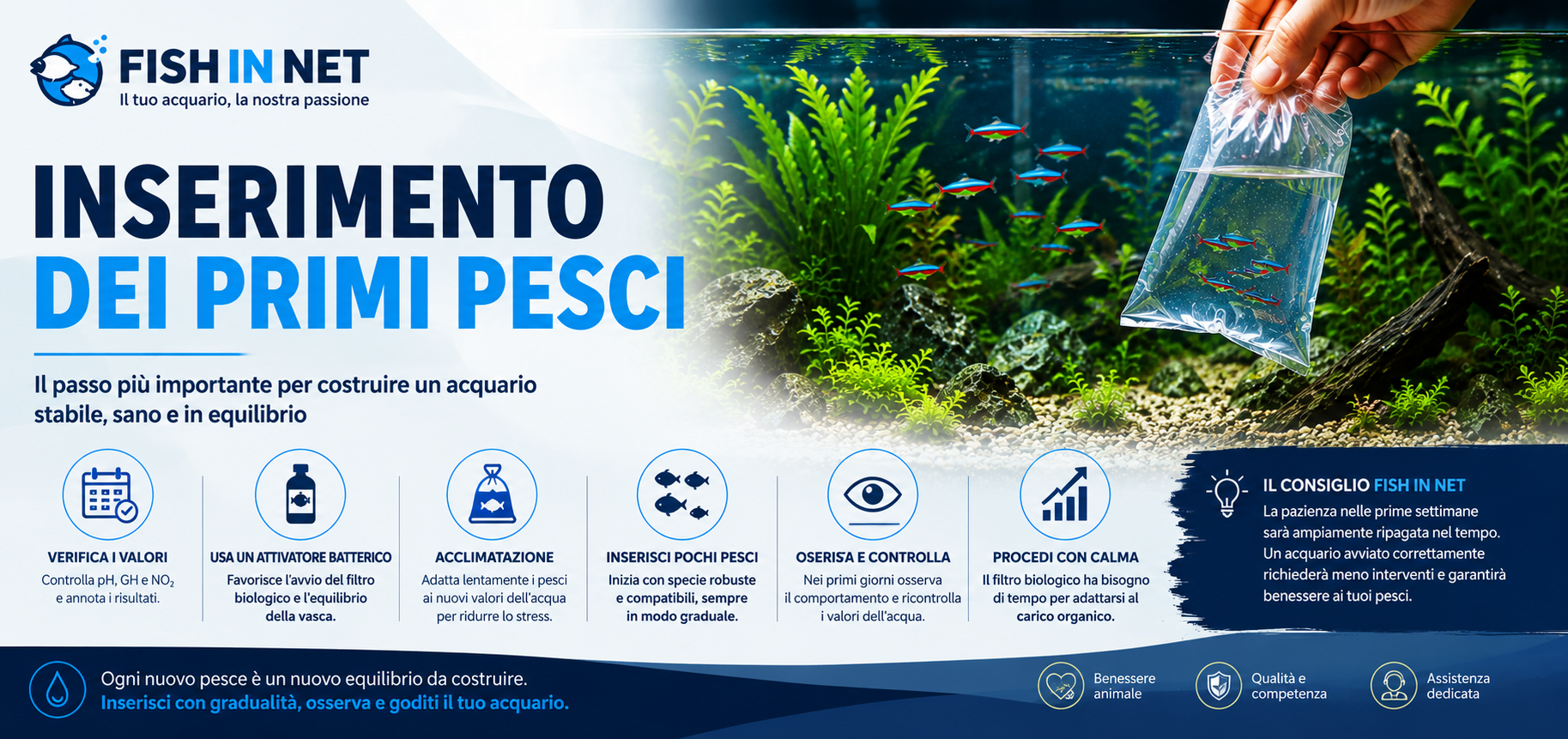 Guida rapida Fish In Net - inserimento corretto dei pesci in acquario