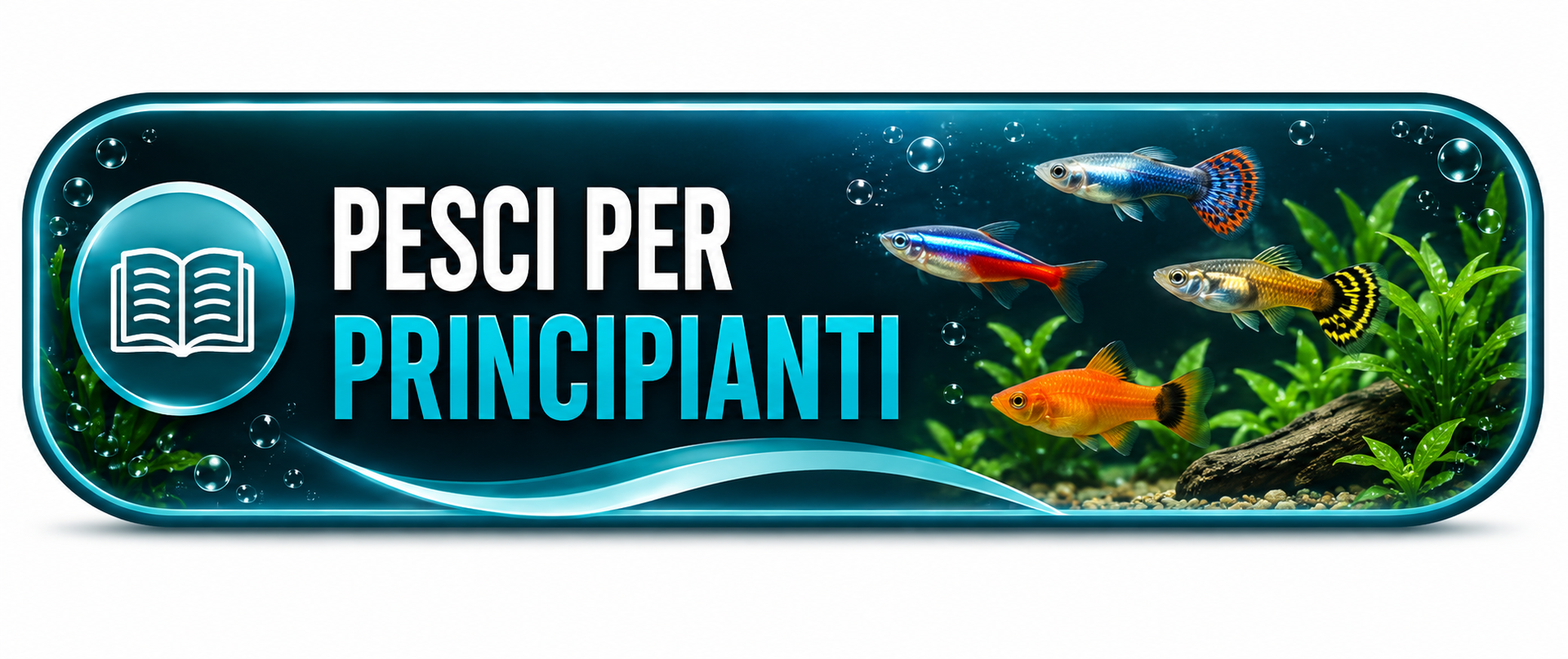 Guida rapida Fish In Net - acquario per principianti