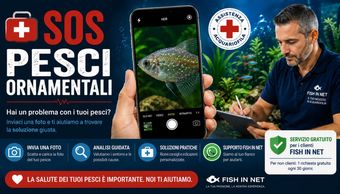 SOS Acquario Fish In Net - assistenza per problemi dell'acquario
