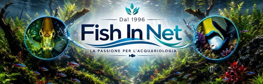 Fish In Net - Acquariofilia dal 1996