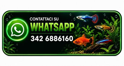 Contatta Fish In Net su WhatsApp per assistenza e consulenza acquariofila