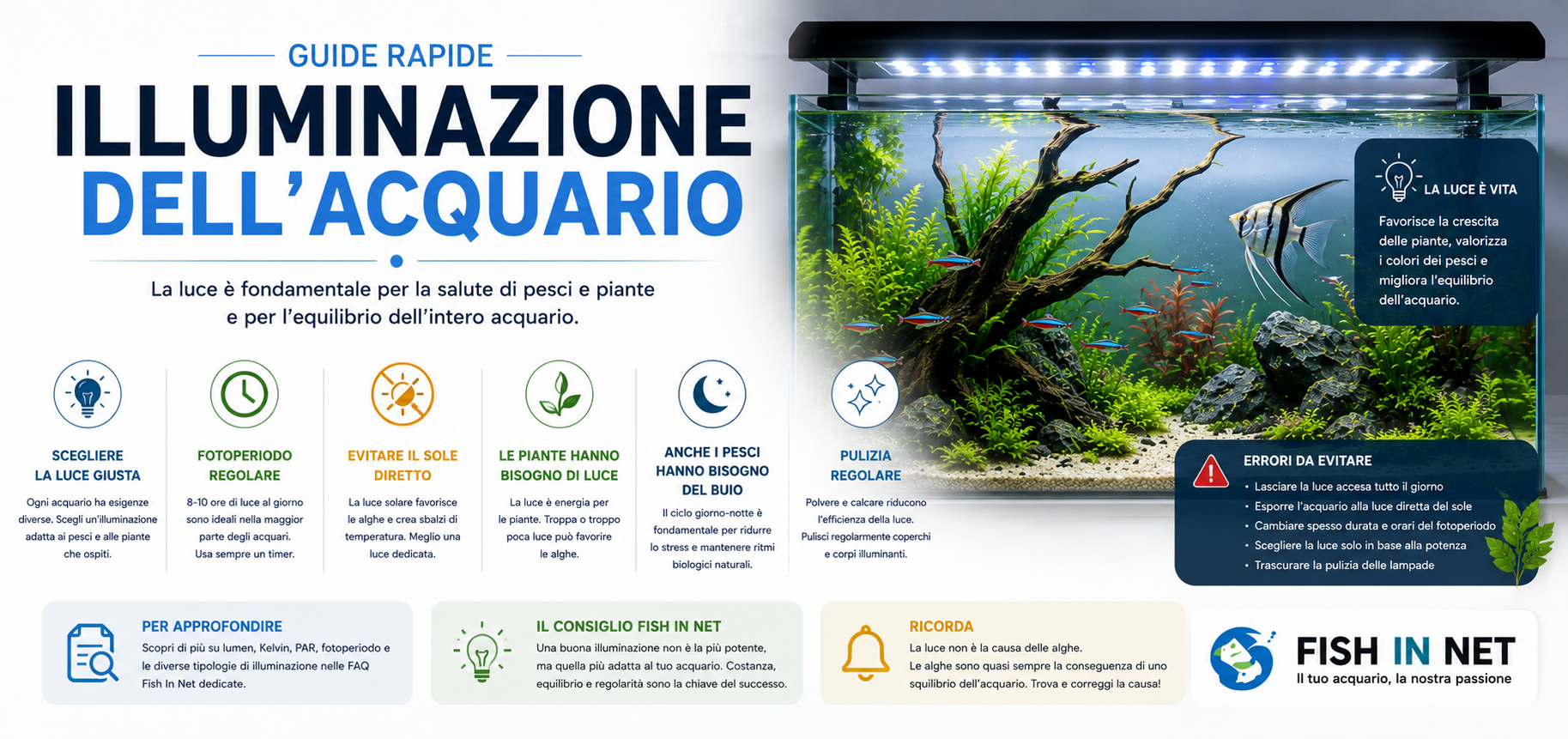Guida rapida Fish In Net - guida completa all'acquario
