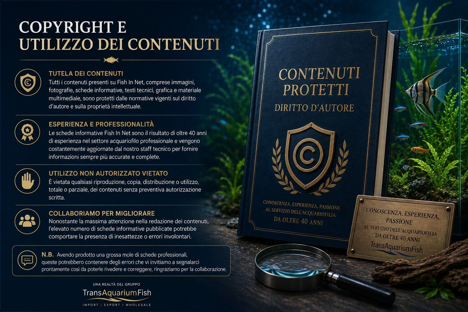 Copyright e diritti dei contenuti Fish In Net