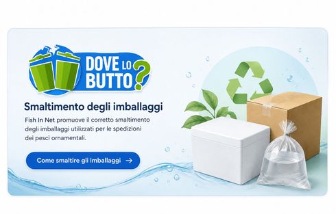 Dove smaltire correttamente gli imballaggi - guida Fish In Net