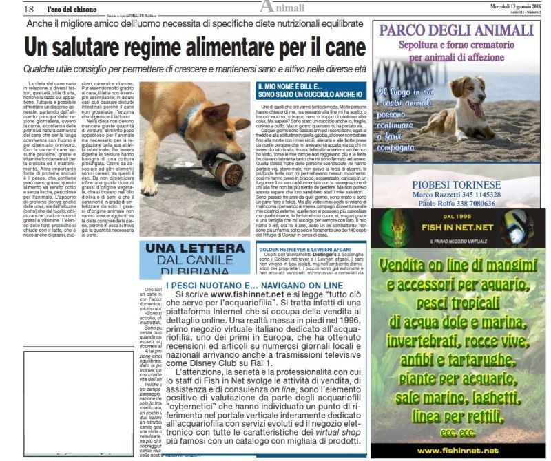 Articolo dell'Eco del Chisone dedicato a Fish In Net