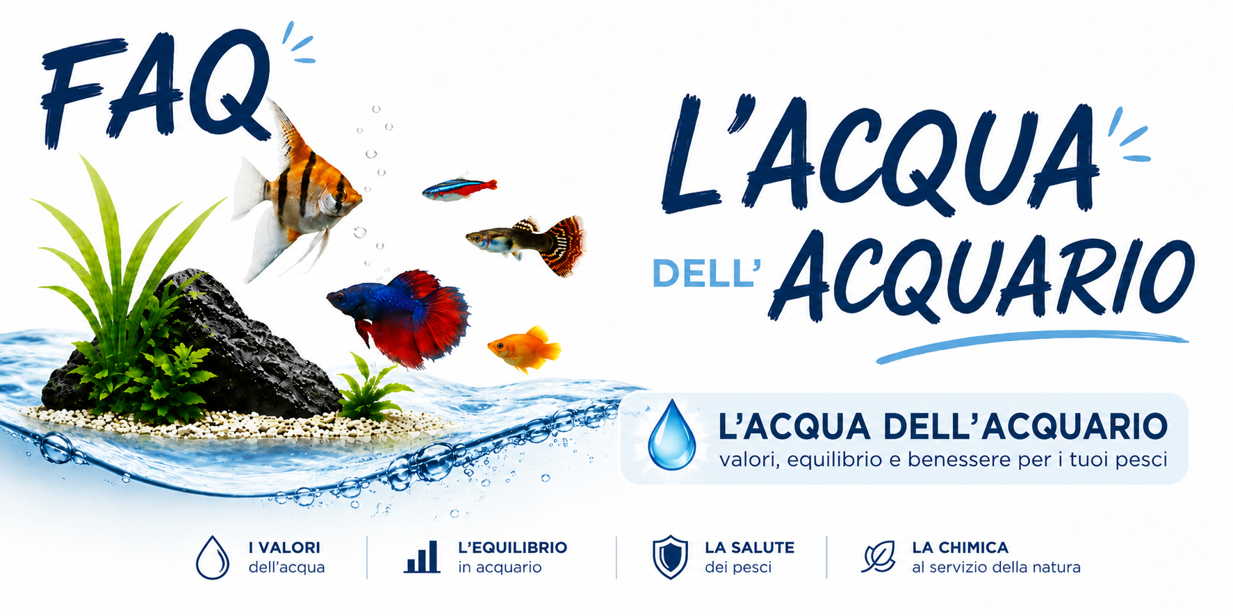 Chimica dell'acqua in acquario - FAQ Fish In Net