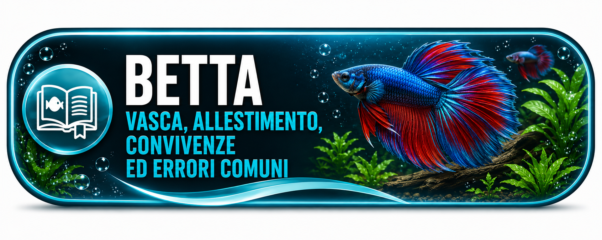 Guida al Betta: vasca, allestimento, convivenze ed errori comuni