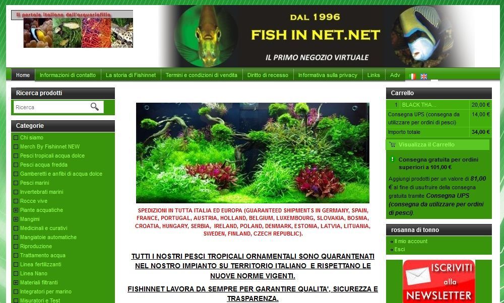 Restyling del sito Fish In Net nel 2022