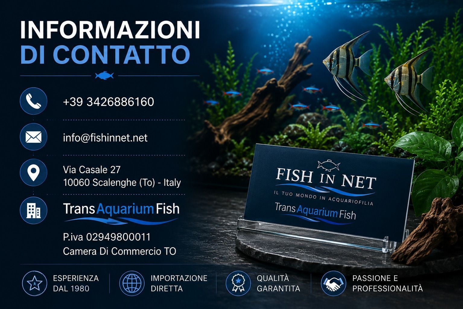 Contatti Fish In Net - Informazioni e assistenza