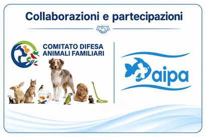 Fish In Net aderisce ad AIPA e sostiene il Comitato Difesa Animali Familiari