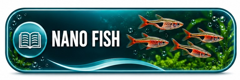 Guida rapida Fish In Net - nano fish per piccoli acquari