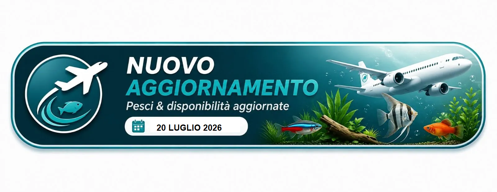Nuovo aggiornamento Fish In Net - disponibilità pesci, piante e prodotti per acquario aggiornate al 20 luglio 2026