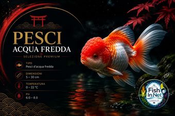Pesci d'acqua fredda disponibili su Fish In Net
