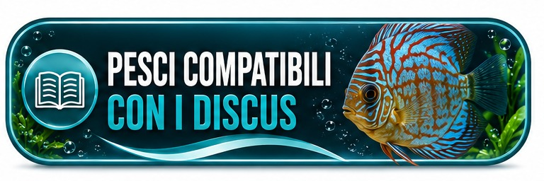 Guida rapida Fish In Net - pesci compatibili con i Discus