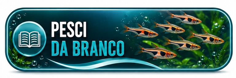 Guida rapida Fish In Net - pesci da branco per acquario