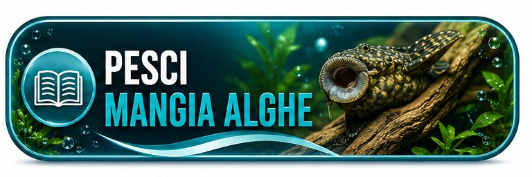 Guida rapida Fish In Net - pesci mangia alghe per acquario