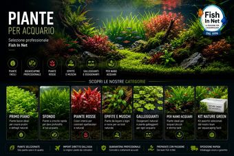 Piante acquatiche per acquario disponibili su Fish In Net