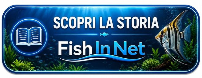 La storia di Fish In Net e TAF dal 1984 a oggi
