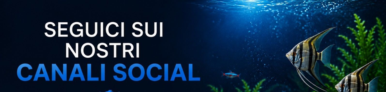 Seguici sui social di Fish In Net