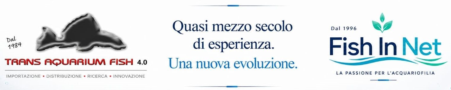 TAF e Fish In Net: quasi mezzo secolo di esperienza, una nuova evoluzione
