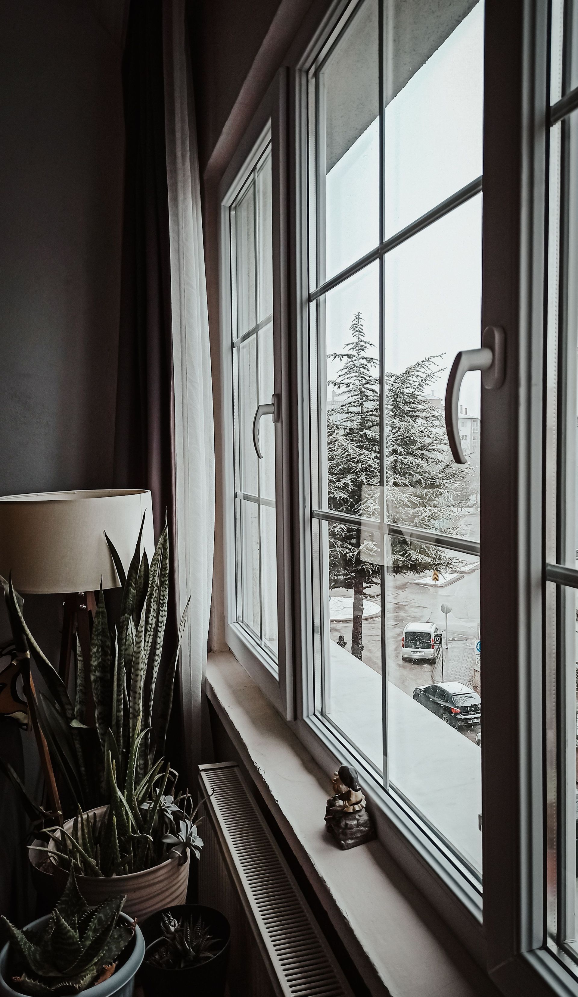 Vista dalla finestra di un interno con piante in vaso, una lampada e alberi innevati all’esterno