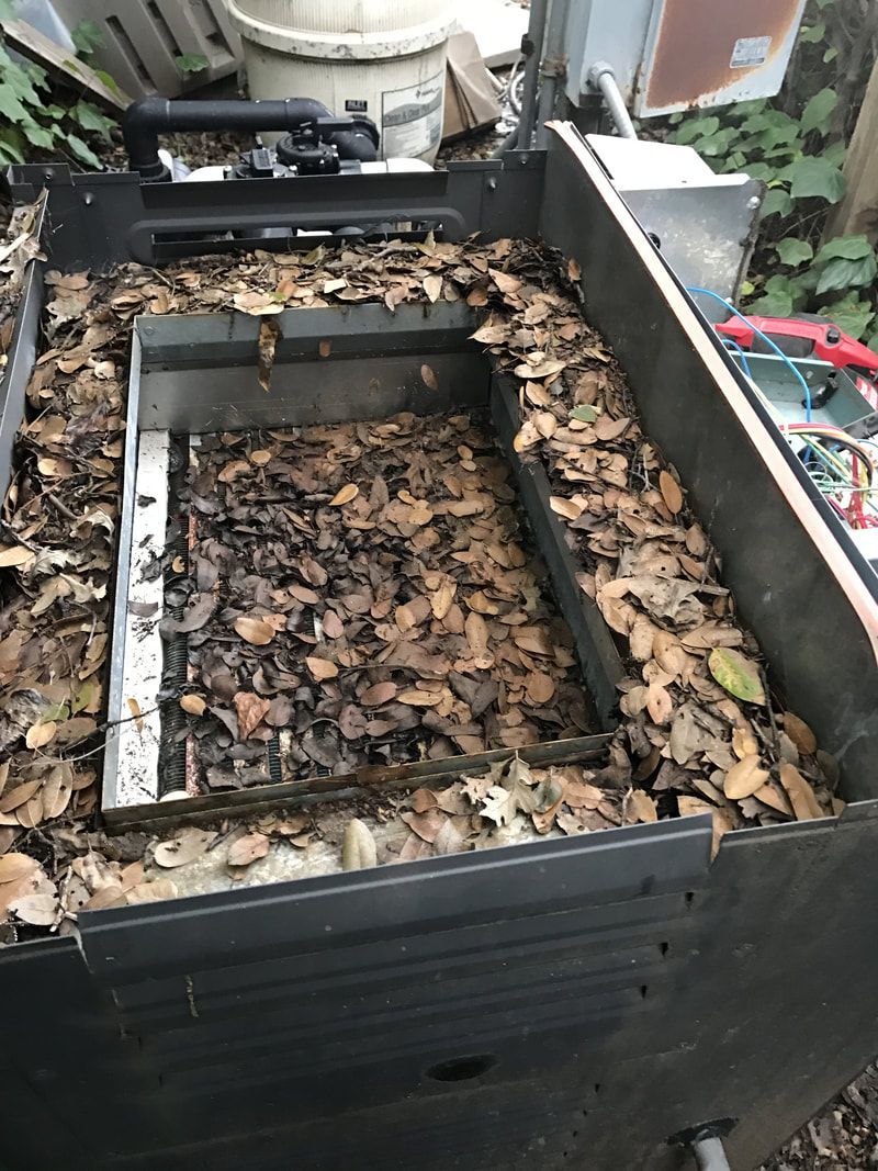Before image