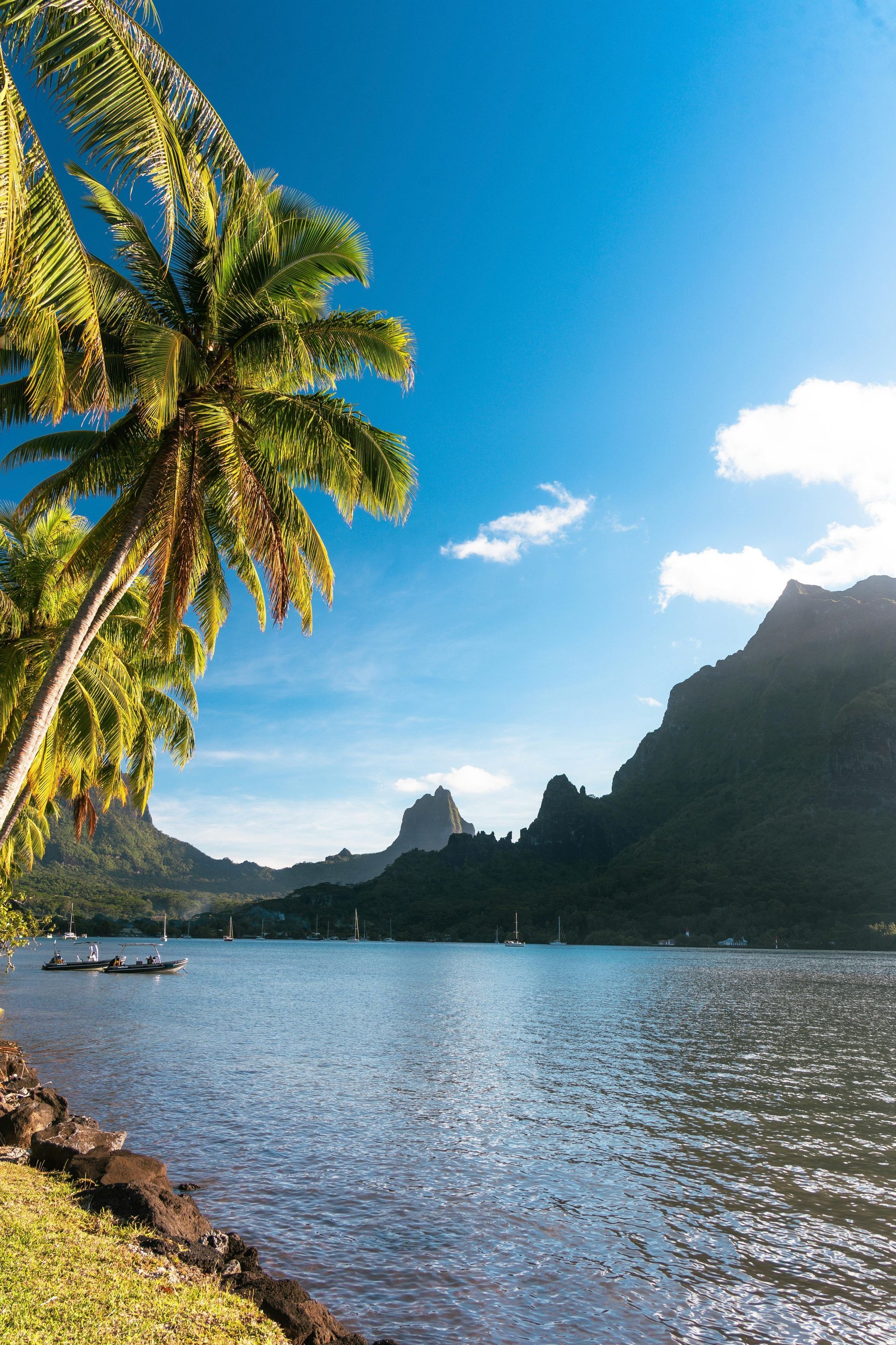 Palm trees frame a tranquil lagoon, with dark mountains silhouetted against a bright blue sky.