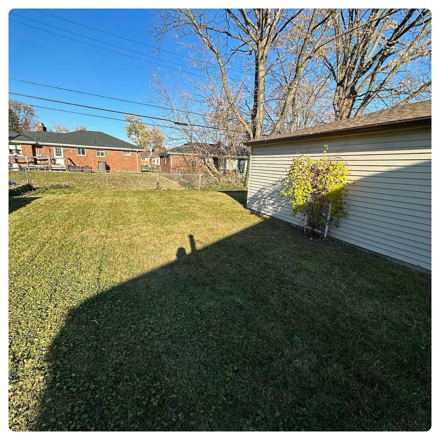 Backyard with sunlit grass, leafless trees, and a white garage beside a brick house under a clear blue sky