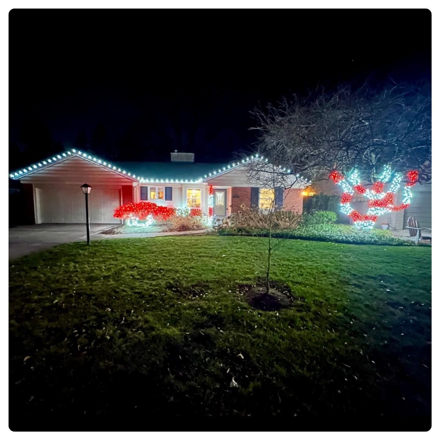 Night view of a house decorated with red and white holiday lights, with a lit lawn and tree in front