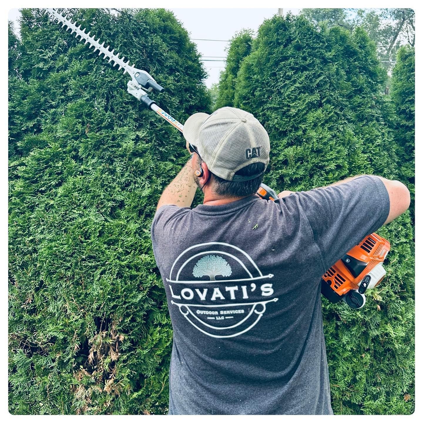 Person trimming tall green hedges with an orange electric hedge trimmer.