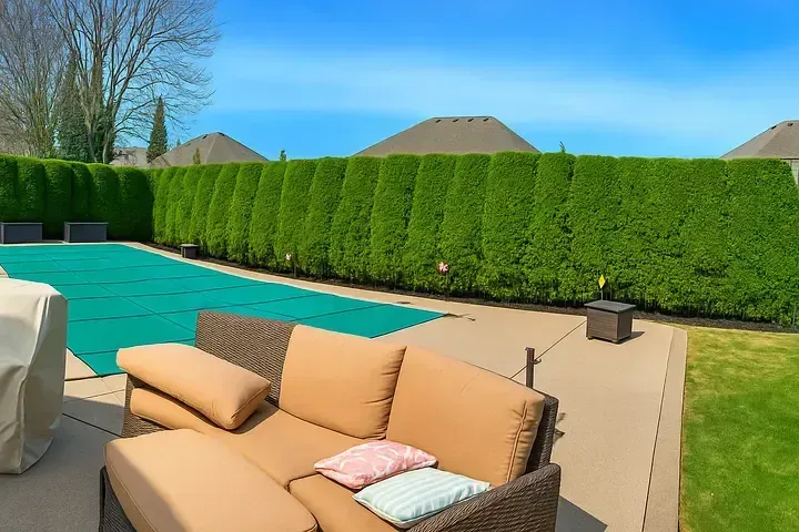 Backyard patio with tan outdoor furniture, swimming pool, and tall green hedge under a blue sky