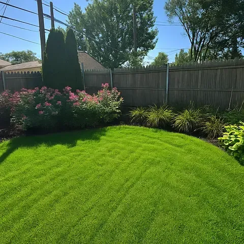 Sunlit backyard with lush green lawn, pink flowering shrubs, tall evergreens, and a wooden fence.