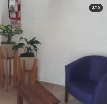 Rincón interior con dos plantas en macetas, un banco de madera y un sillón azul contra una pared blanca.