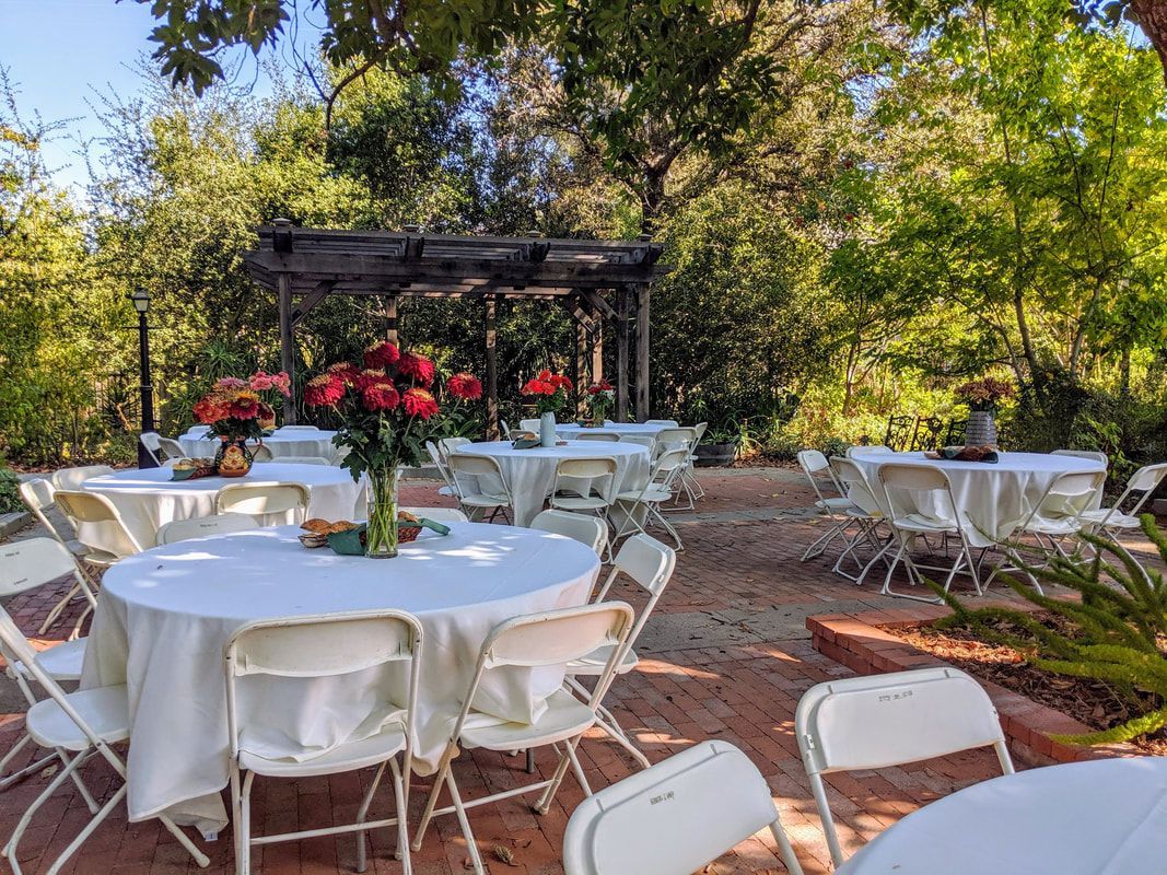 A group of tables and chairs set up for a party in the woods.