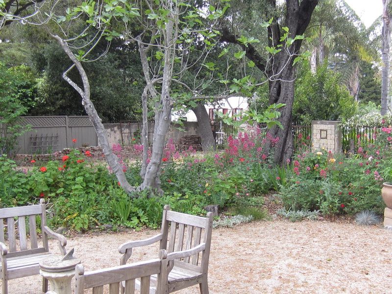 Two wooden benches in a garden with flowers and trees
