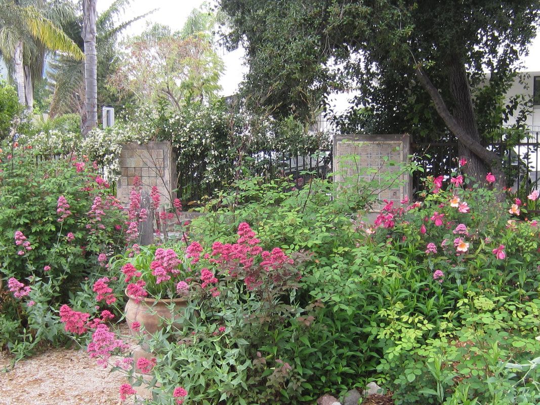 A garden filled with lots of pink flowers and green plants.