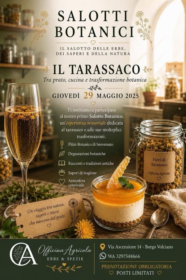 Salotto Botanico con degustazione di erbe officinali il tarassaco
