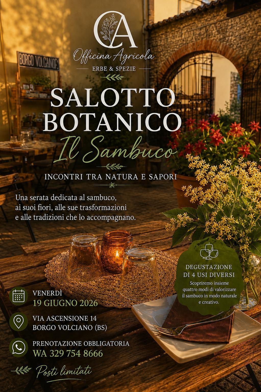 Salotto Botanico con degustazione di erbe officinali il sambuco