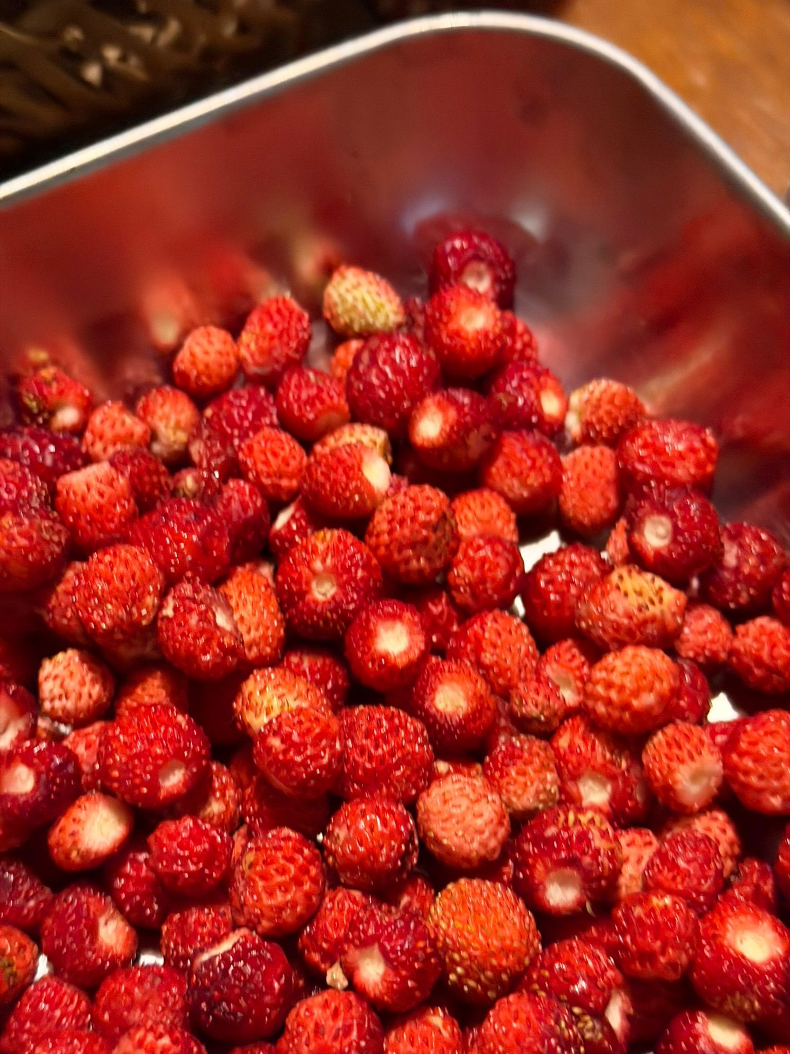 Assaggio tematico con ingredienti stagionali ed erbe aromatiche