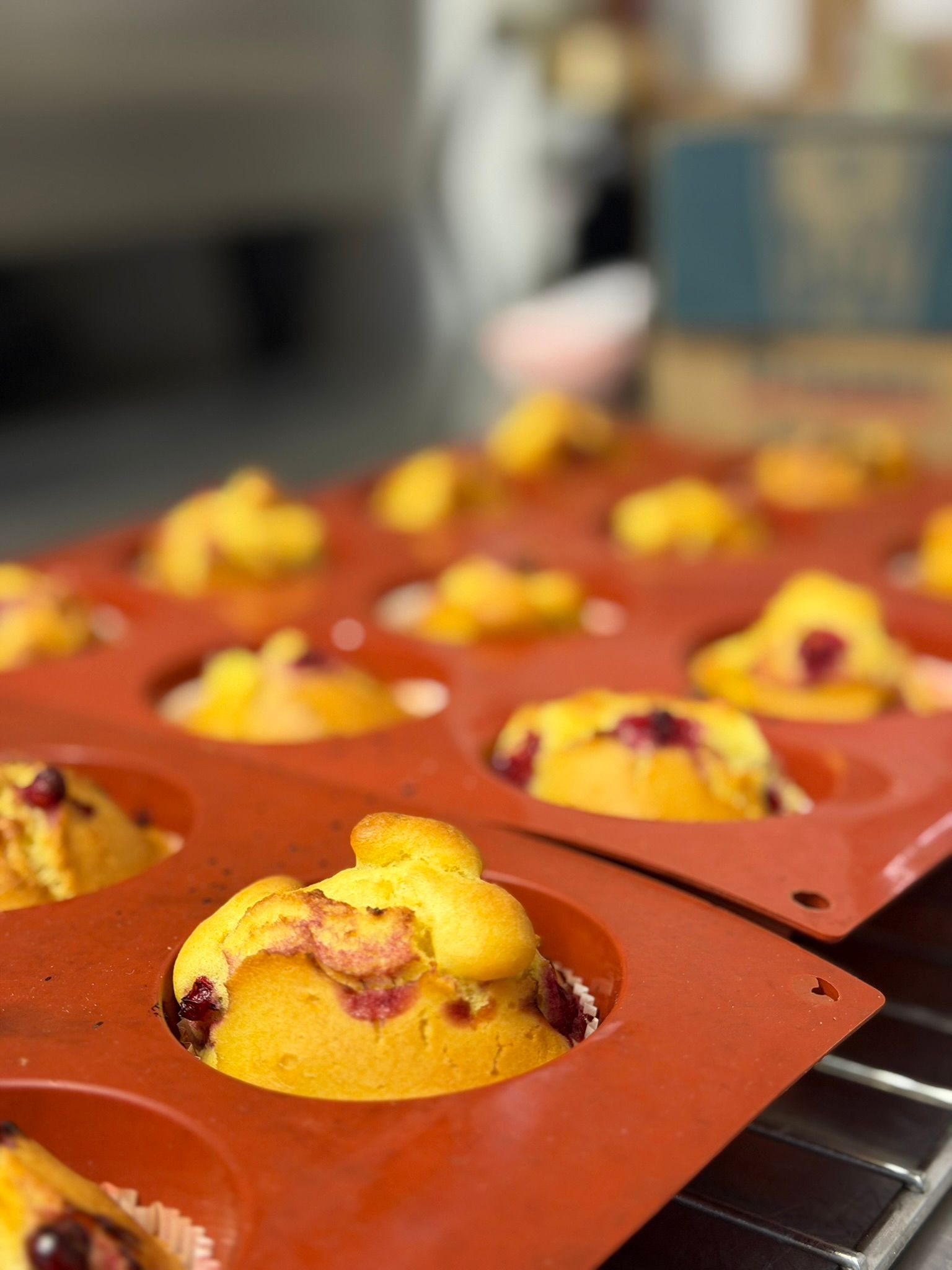 Esperienza gastronomica ispirata alle tradizioni erboristiche