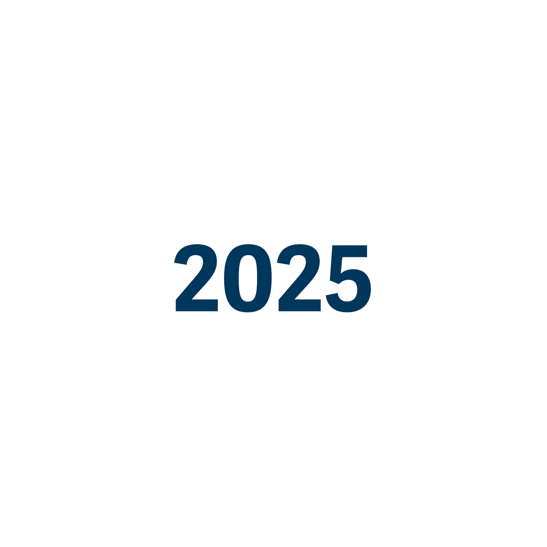 Das Jahr 2025 ist in blauer Schrift auf weißem Hintergrund geschrieben.