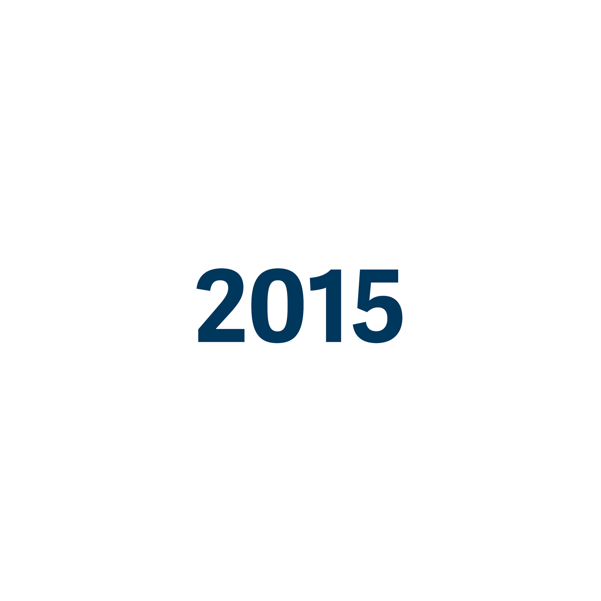 Das Jahr 2015 ist in blauer Farbe auf weißem Hintergrund geschrieben.