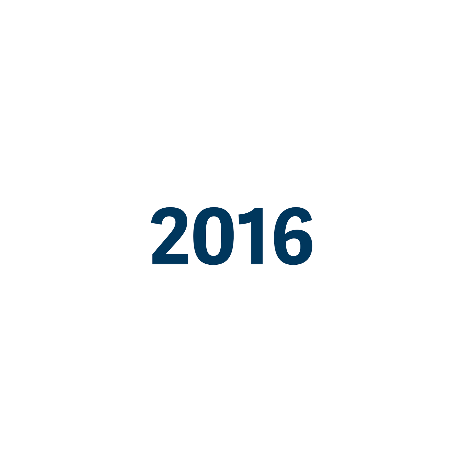 Das Jahr 2016 ist in blauer Farbe auf weißem Hintergrund geschrieben.