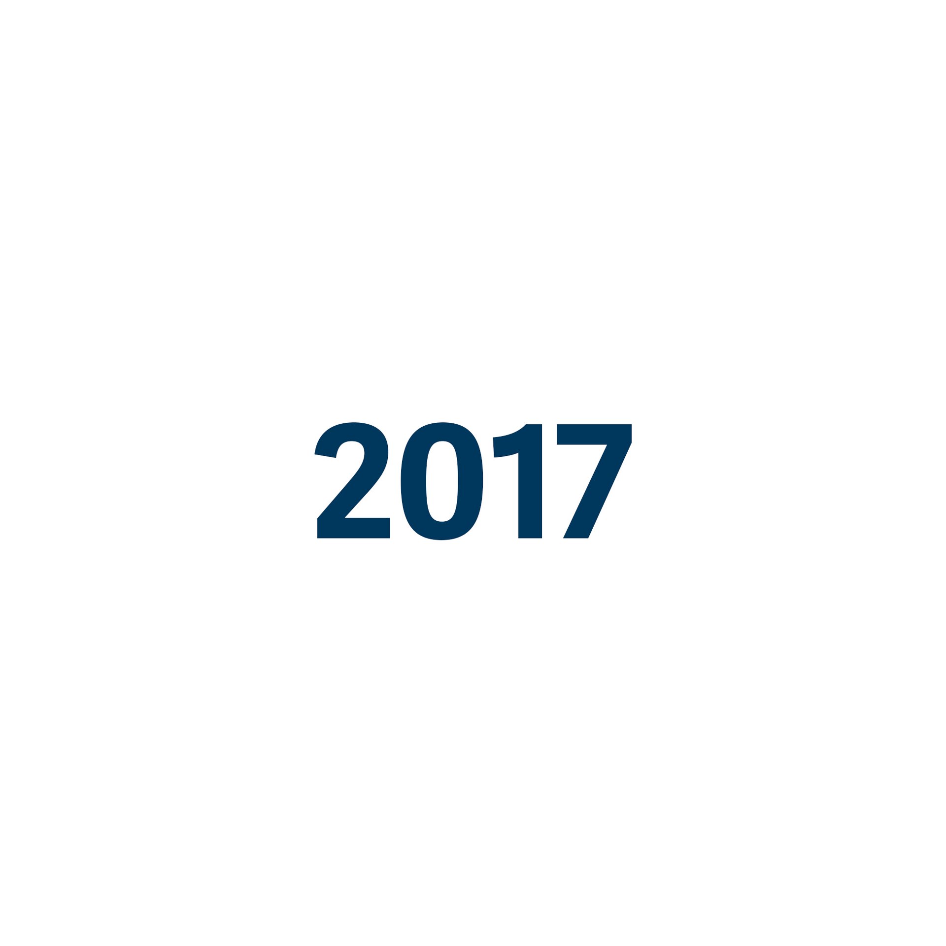 Das Jahr 2017 ist in blauer Farbe auf weißem Hintergrund geschrieben.