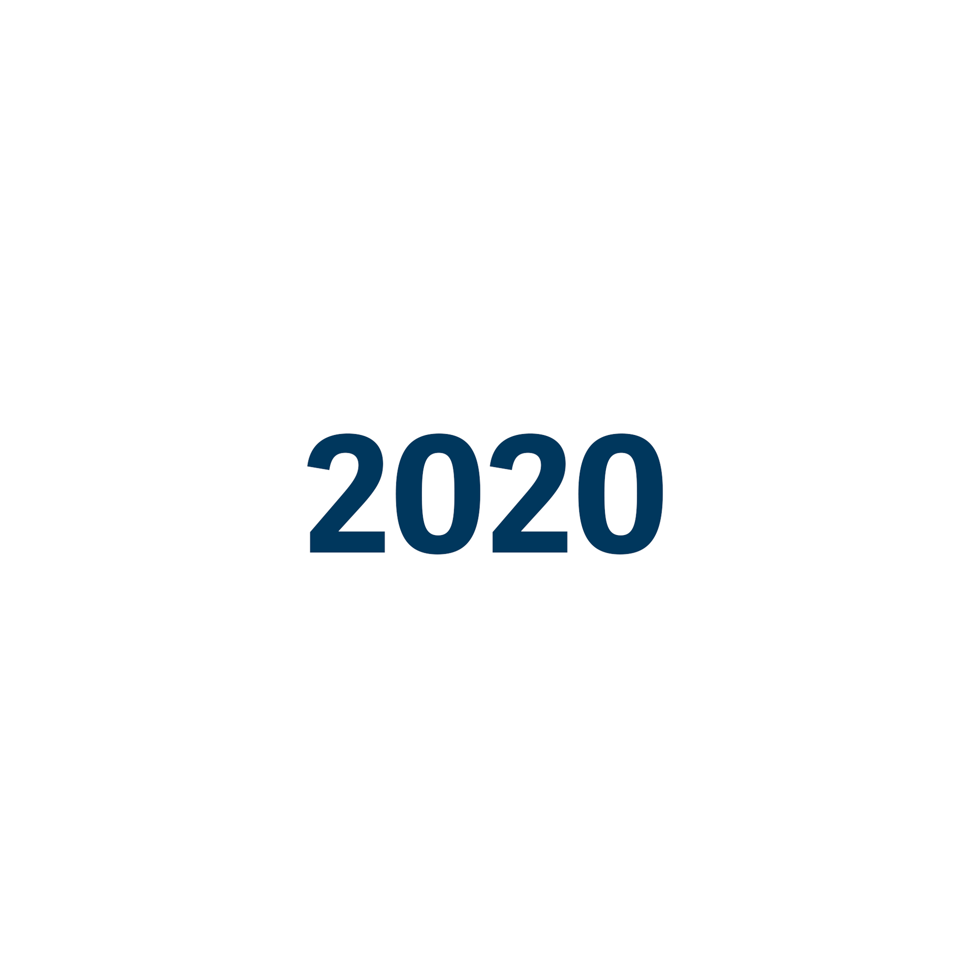 Das Jahr 2020 ist in blauer Farbe auf weißem Hintergrund geschrieben.