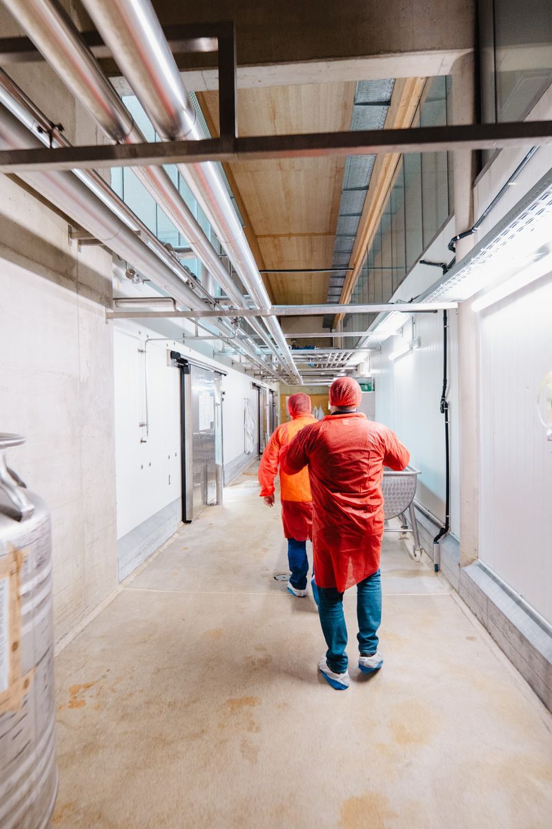 Engineers in an alpine dairy