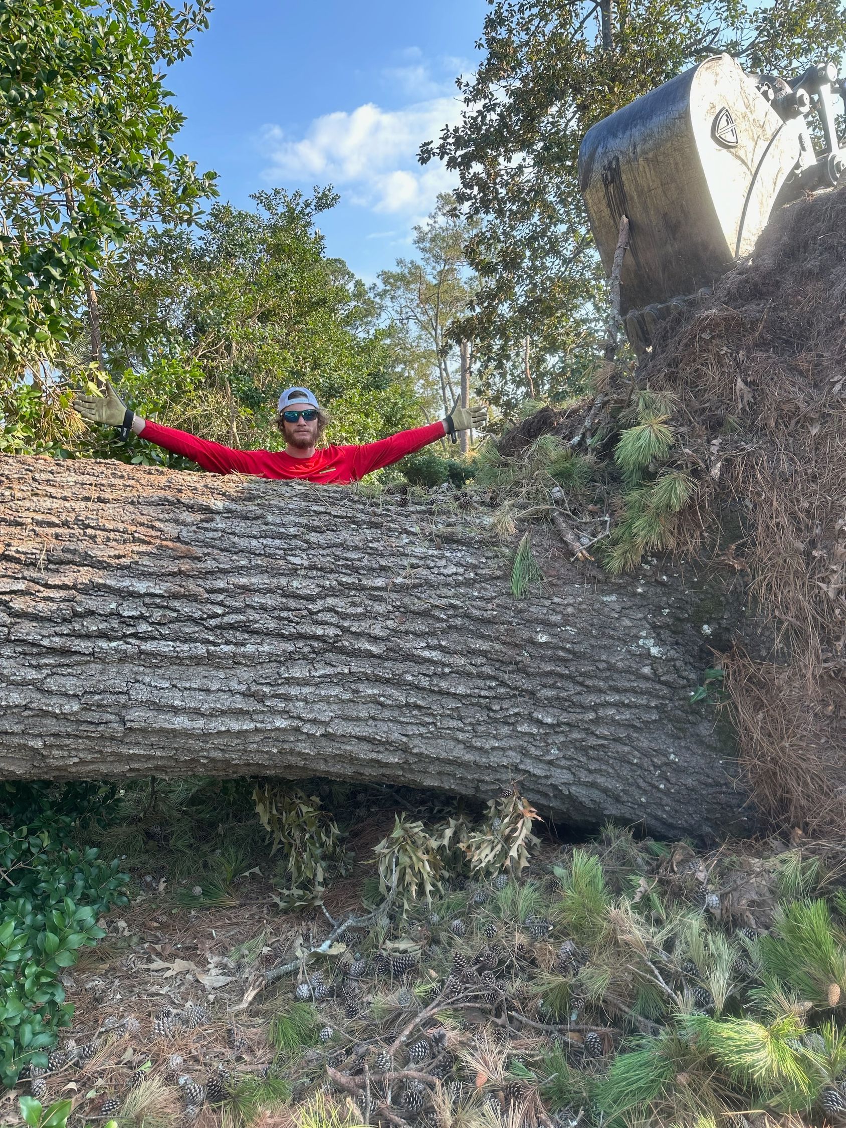 A man is standing on top of a fallen tree trunk.